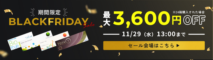 ブラックフライデーセール